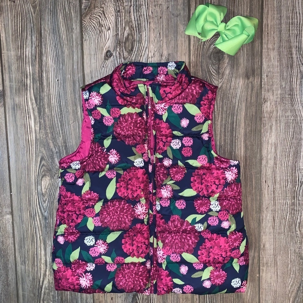 Gymboree Puffer Vest